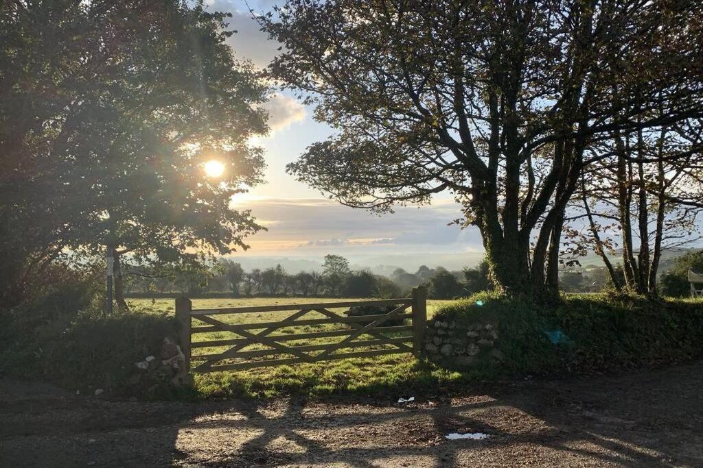 Cart Shed Cottage トルーロー エクステリア 写真